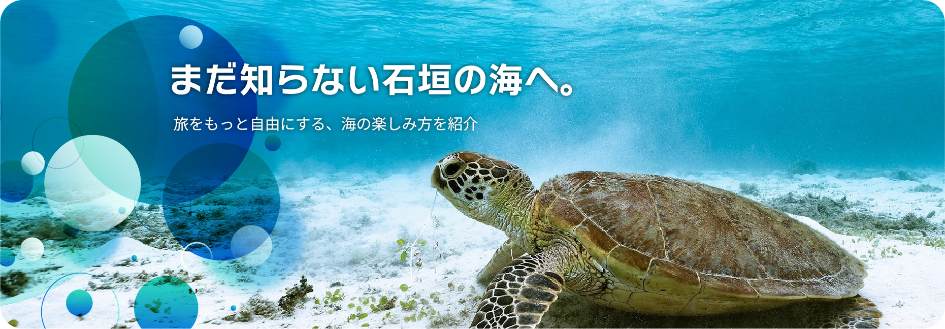 まだ知らない石垣の海へ。旅をもっと自由にする、海の楽しみ方を紹介